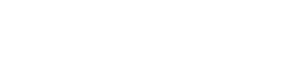 BRADY logo